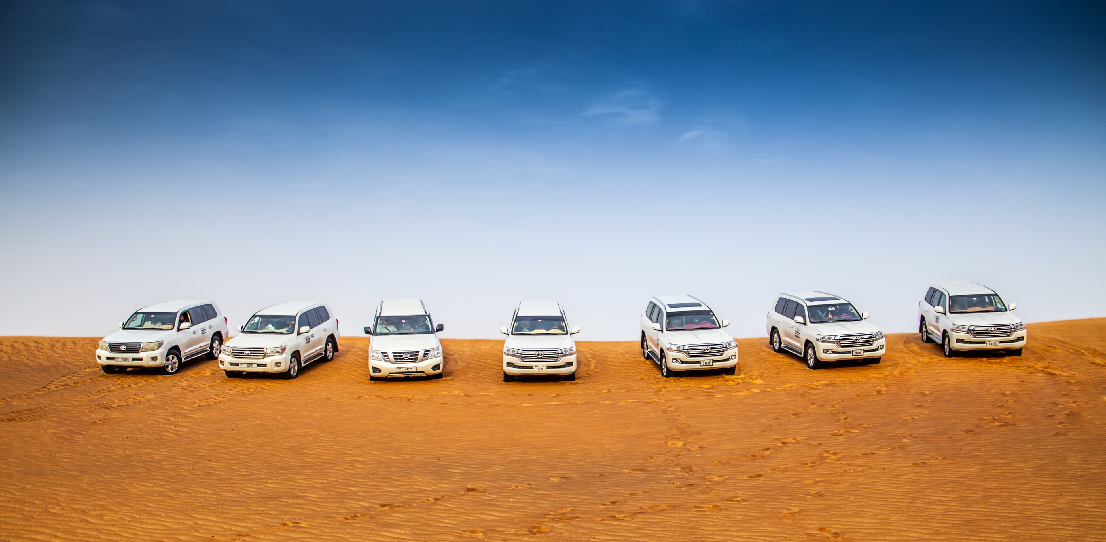 Standard Desert Safari