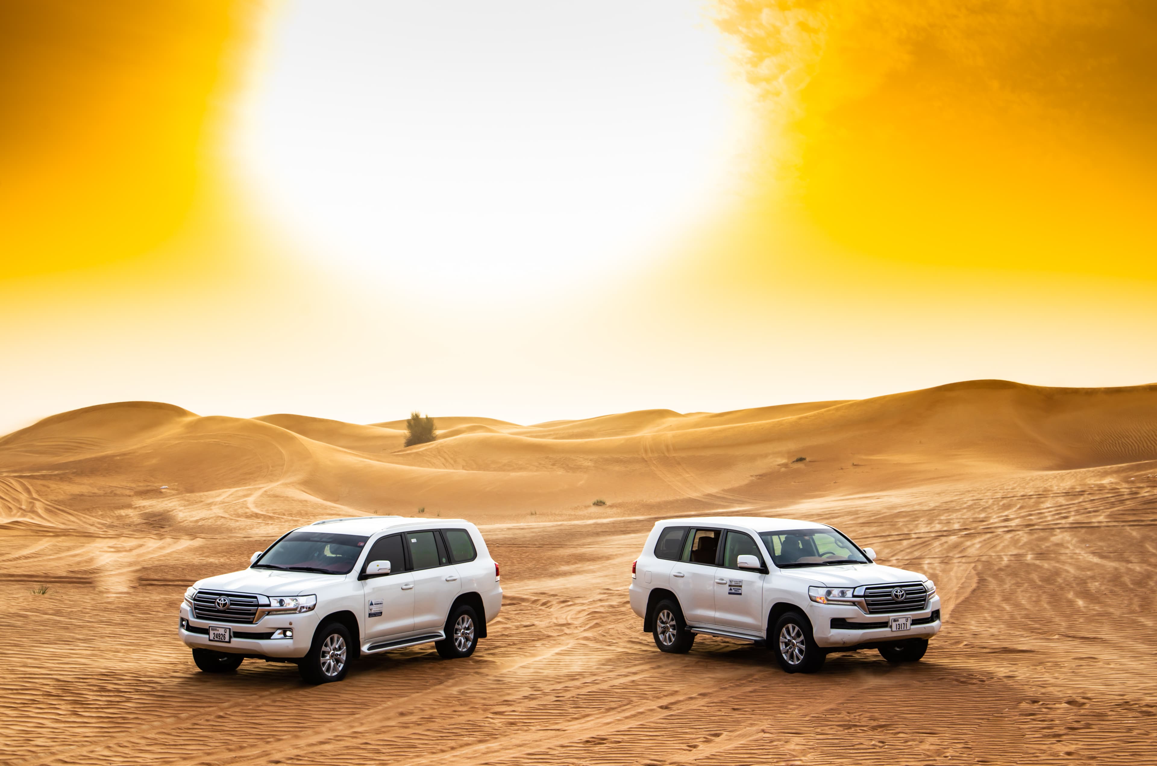Standard Desert Safari