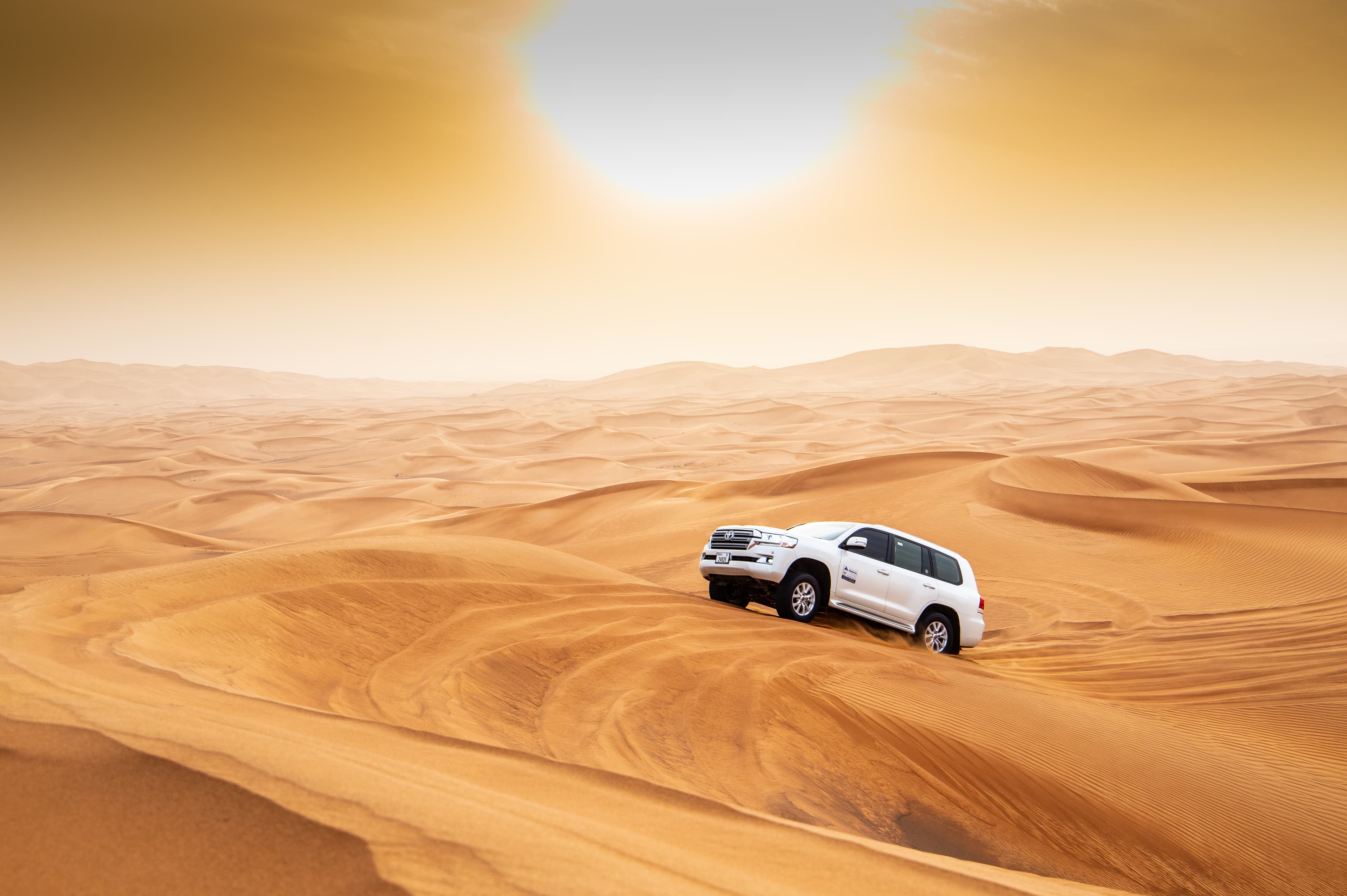 Standard Desert Safari